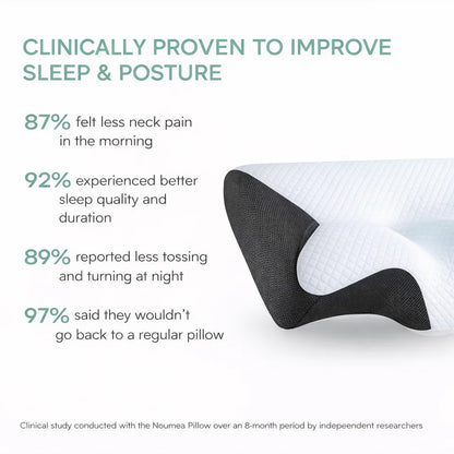 Noumea Cervical Pillow